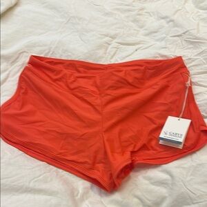 Carve Swim Shorts